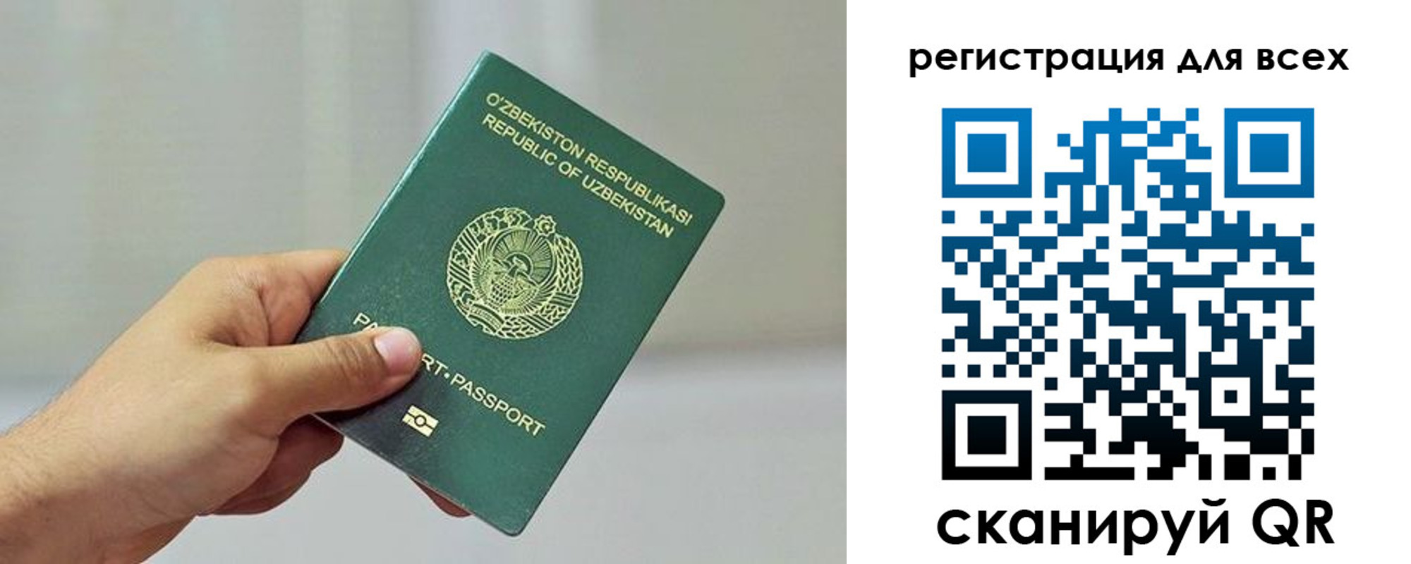 прописка ребенка в Павловске